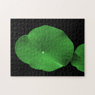 Puzzle Lotus Leaves