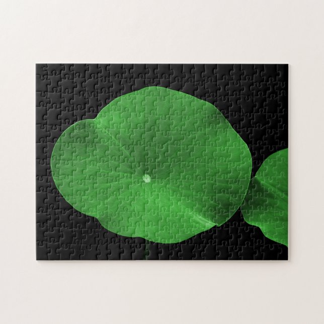 Puzzle Lotus Leaves (Horizontal)