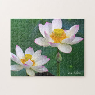 Puzzle Lotus "Suihiren" [Rompecabezas: 252P] ジグソーパズル