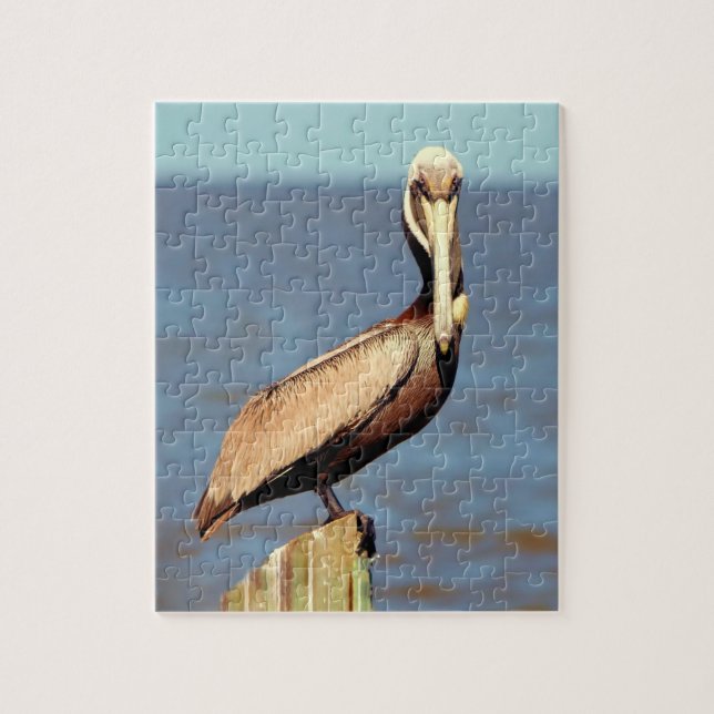 Puzzle Louisiana Brown Pelican 4.jpg (Vertical)