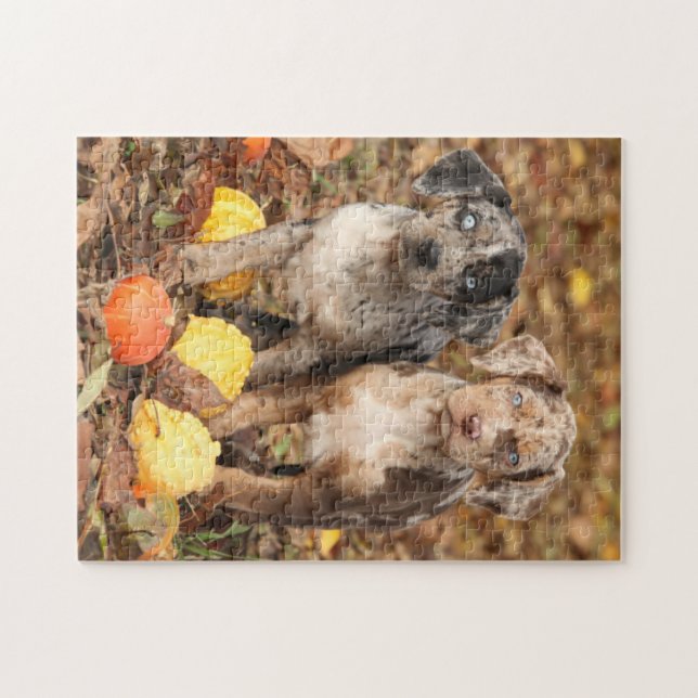 Puzzle Louisiana Catahoula Cachorros Con Calabazas (Horizontal)