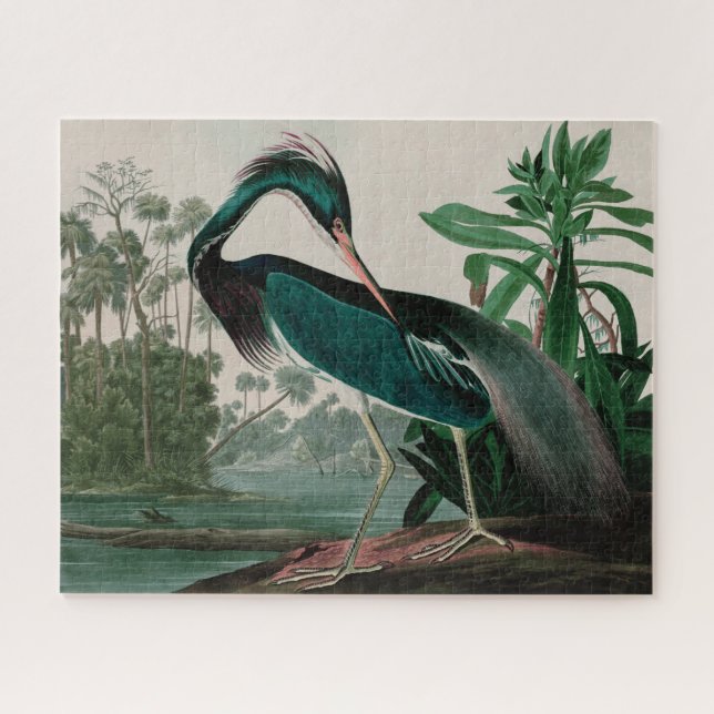 Puzzle Louisiana Heron Birds of America Audubon Print (Horizontal)