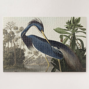 Puzzle Louisiana Heron de Birds of America