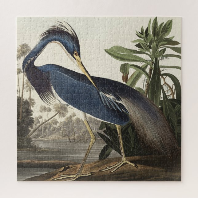 Puzzle Louisiana Heron de Birds of America (Vertical)