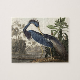 Puzzle Louisiana Heron de Birds of America