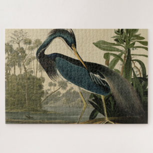 Puzzle Louisiana Heron - de los pájaros de Estados Unidos