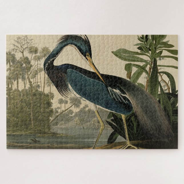 Puzzle Louisiana Heron - de los pájaros de Estados Unidos (Horizontal)