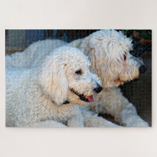 Puzzle Love Goldendoodles