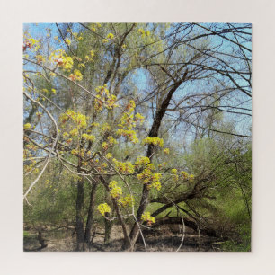 Puzzle Lugares perdidos , Naturaleza de las mesetas, desp