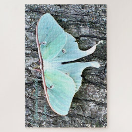 Puzzle Luminosas Alas Esmeraldas - Transeúnte tranquilo