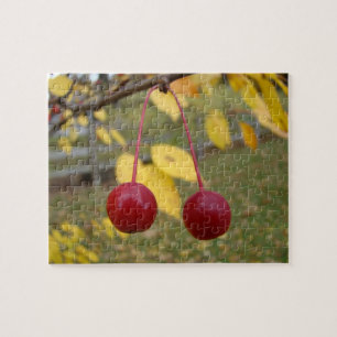 Puzzle Luminosas manzanas de cangrejo rojo