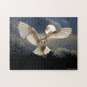 Puzzle "Luna llena"