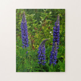 Puzzle Lupines