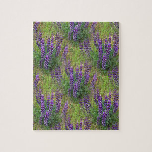 Puzzle Lupines Galore...