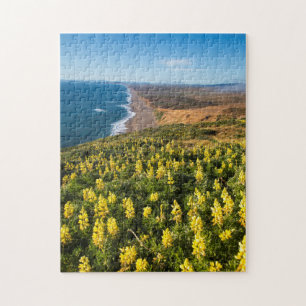 Puzzle Lupino Amarillo Sobre la Playa Point Reyes En Poin