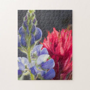 Puzzle Lupino plateado, Pincel de lavanda