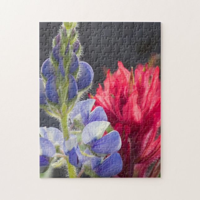 Puzzle Lupino plateado, Pincel de lavanda (Vertical)