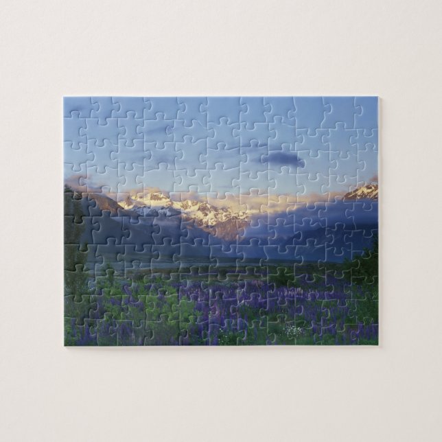 Puzzle Lupino y la divisoria principal, Arthur's Pass, Su (Horizontal)