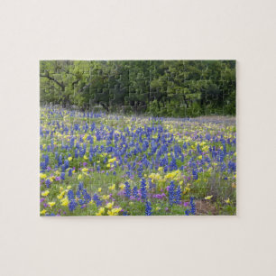 Puzzle Lupinos, prímula y flox