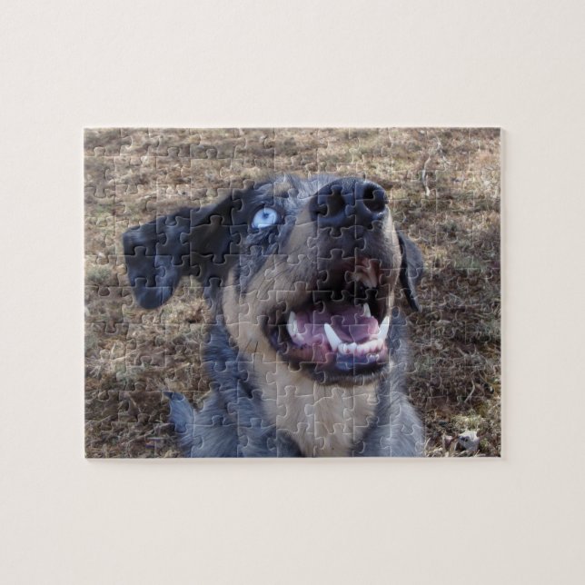 Puzzle Lusiana Catahoula Leopard Dog (Horizontal)