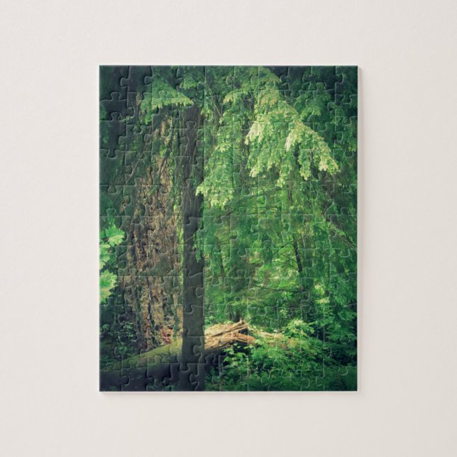 Puzzle Luz del bosque (Vertical)