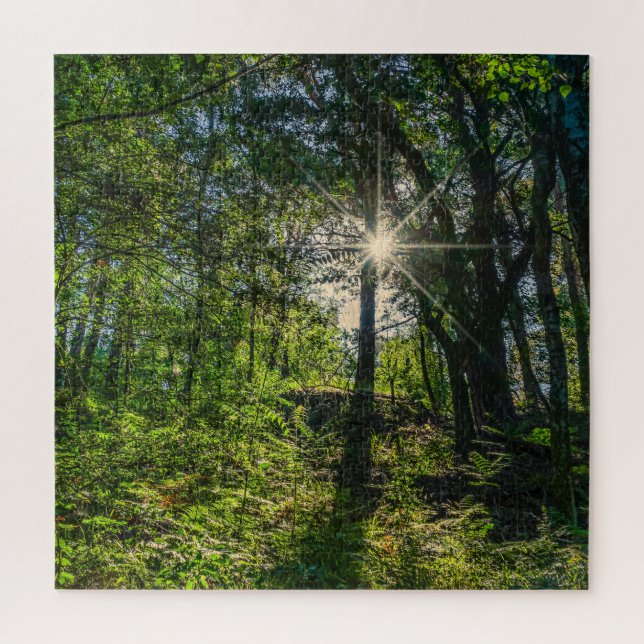 Puzzle Luz en el bosque (Vertical)