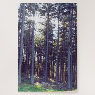 Puzzle Luz entre los pinos - Naturaleza salvaje Rumania