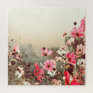 Puzzle Luz matutina, cosmos rosados florecientes.