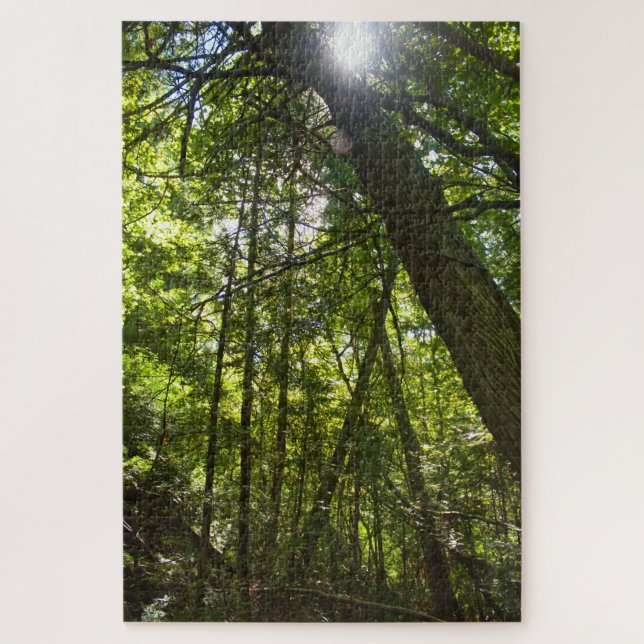 Puzzle Luz solar a través de la cubierta forestal (Vertical)