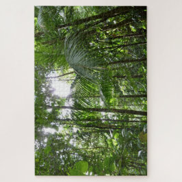 Puzzle Luz solar a través de la selva tropical con cubier