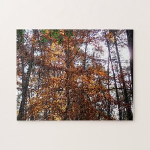 Puzzle Luz solar a través de un árbol de otoño en Greenbe
