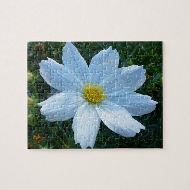 Puzzle Luz solar en floral cosmos blanco (Horizontal)