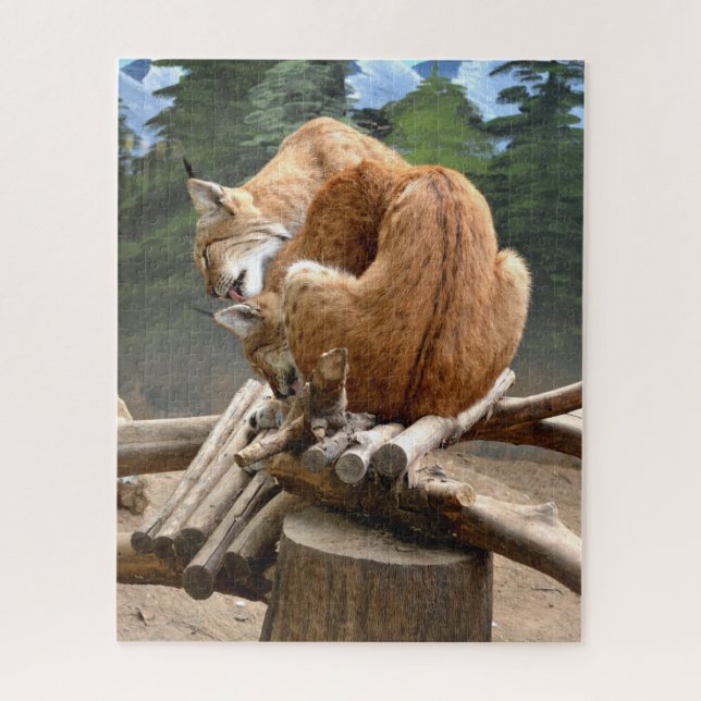 Puzzle Lynx cats (Vertical)