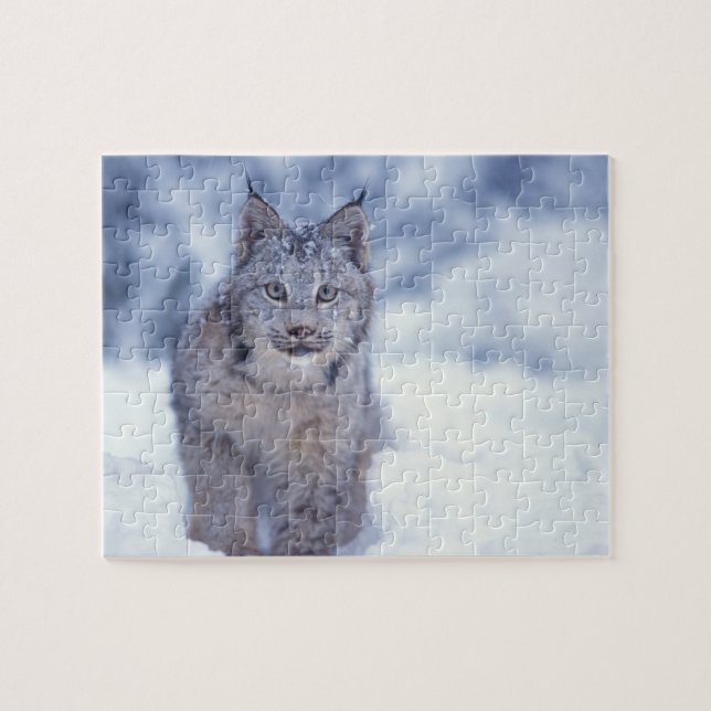 Puzzle Lynx en la nieve en las estribaciones (Horizontal)