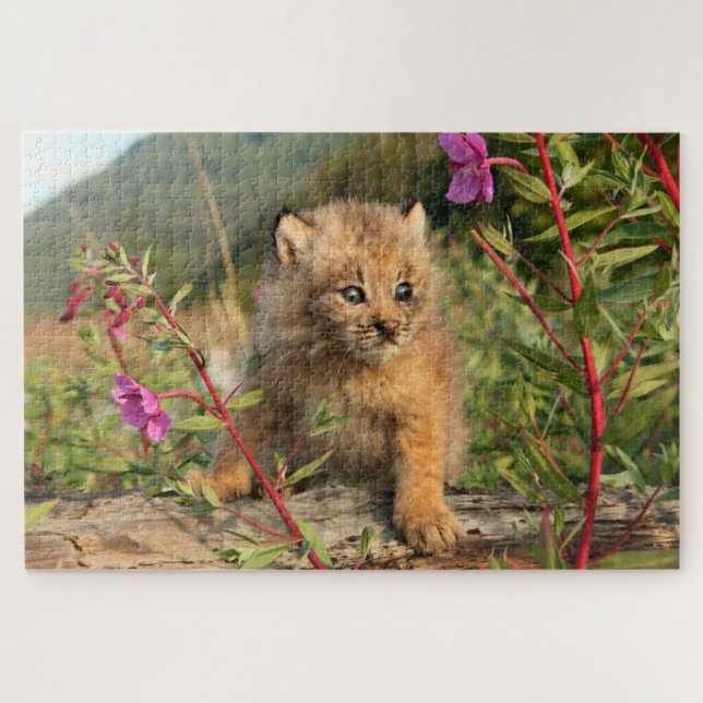 Puzzle Lynx Kitten canadiense, Alaska (Horizontal)