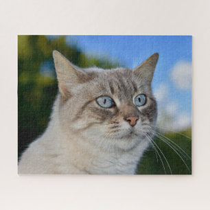Puzzle Lynx Point Cat con ojos azules