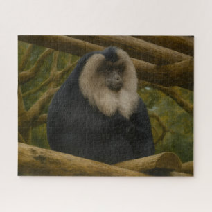 Puzzle Macaca con cola de león en santuario forestal