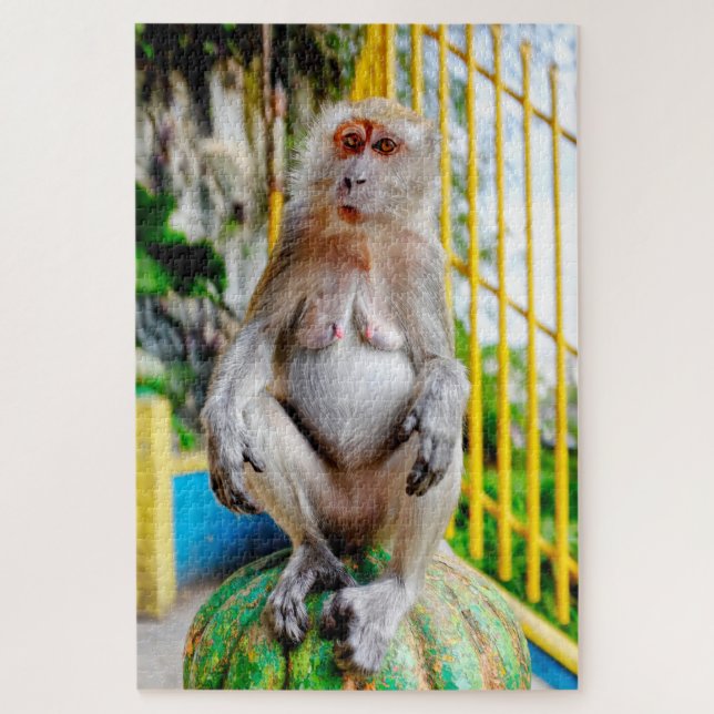 Puzzle Macaco cangrejero (Vertical)