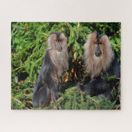 Puzzle Macacos de cola larga balineses.