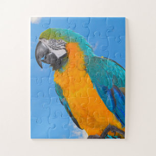 Puzzle Macao azul y amarillo