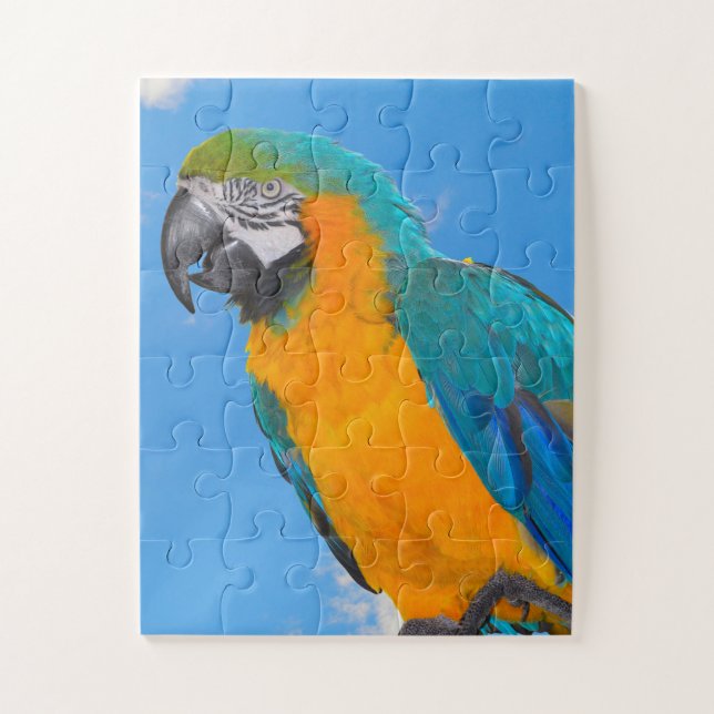 Puzzle Macao azul y amarillo (Vertical)