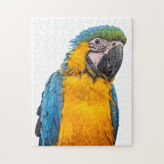 Puzzle Macao azul y oro