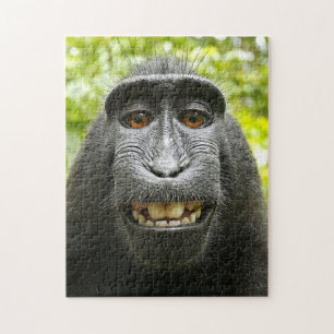 Puzzle Macaque sonriente de Célebes