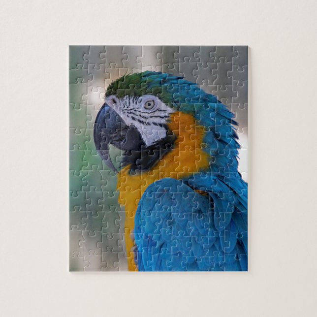 Puzzle Macaw del azul y del oro (Vertical)