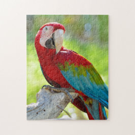 Puzzle Macaw que se sienta en rama
