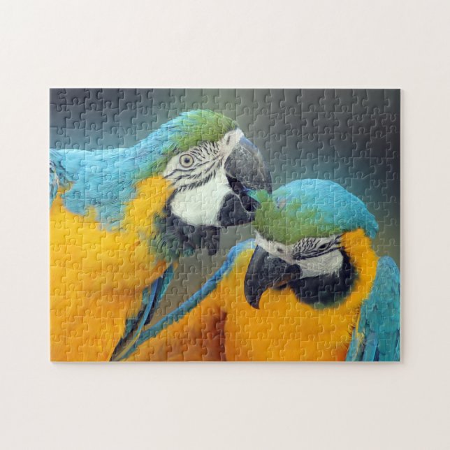 Puzzle Macaws enamorados (Horizontal)