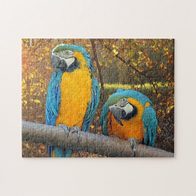 Puzzle Macaws maleados - loro lindo (Horizontal)