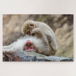 Puzzle Macque Monkey, fotografía de mono japonés