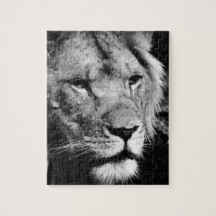 Puzzle macro de closet macho de áfrica lion