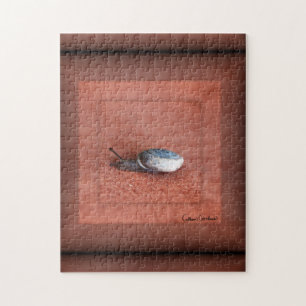 Puzzle Macrofotografía del caracol en Terracota